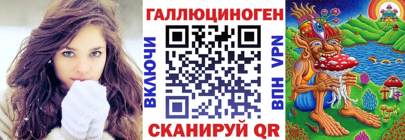 ссылка на мегу вход  сколько стоит  Суздаль  Псилоцибиновые грибы MAGIC MUSHROOMS 